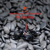 Hummingbird V3.1 RaceSpec ELRS 16.5g BNF Hummingbird