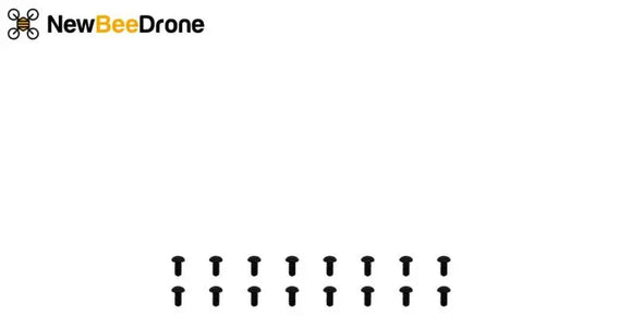 NewBeeDrone Motor Screws M2*4mm - Set of 15 - NewBeeDrone